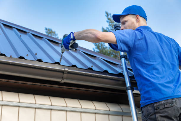 Best Metal Roofing Installation  in Coleraine, MN
