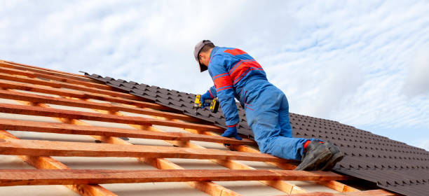 Best Wood Shake Roofing  in Coleraine, MN
