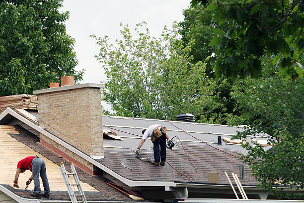 Best Storm Damage Roof Repair  in Coleraine, MN